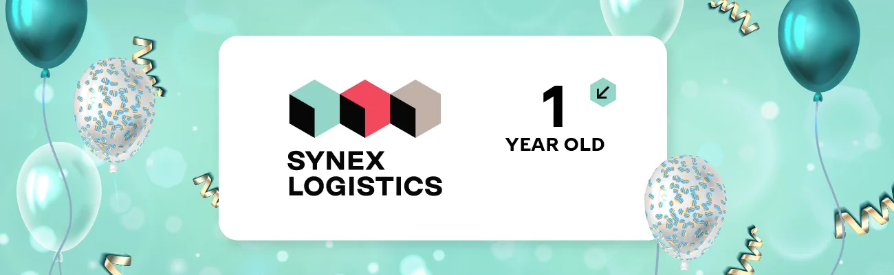 SYNEX LOGISTICS 1 ГОД